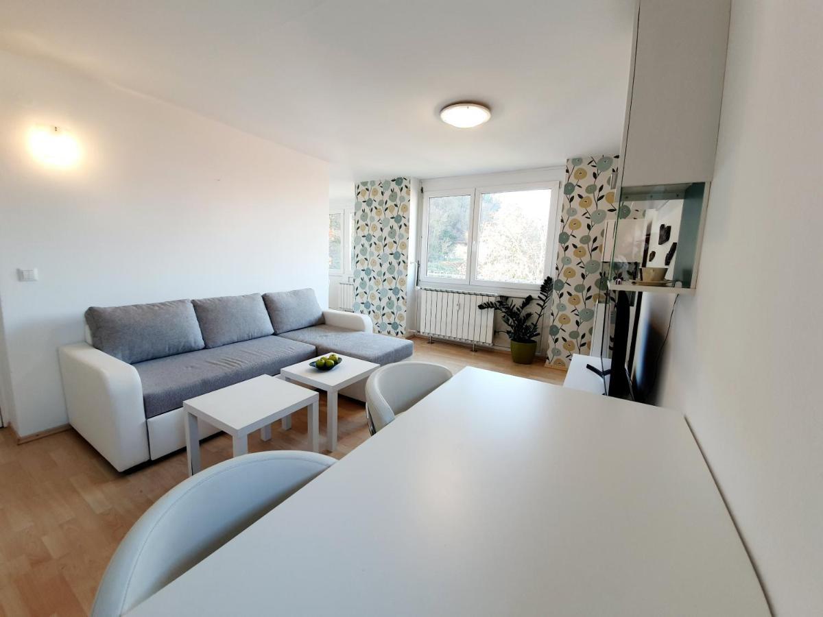 Bossa Nova Castle&outstanding With Garage Apartment Laibach