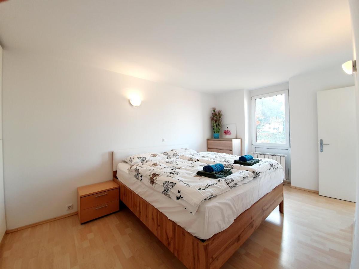 Bossa Nova Castle&outstanding With Garage Apartmán Lublaň