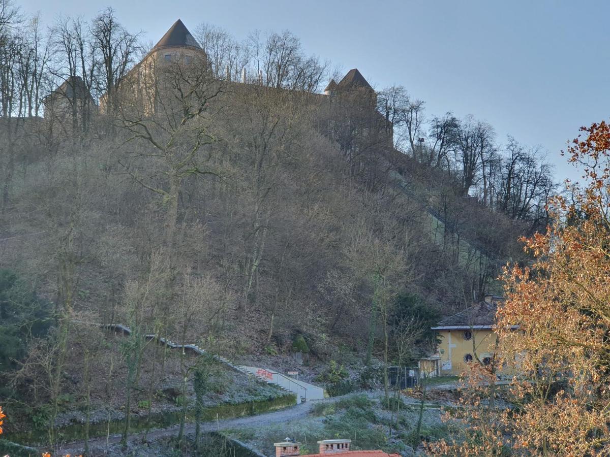 Bossa Nova Castle&outstanding With Garage Apartment Laibach